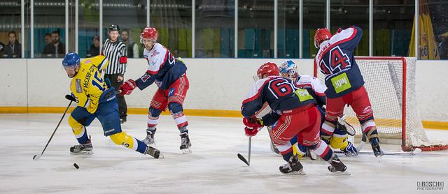 Bulldogs Antwerp Face-Off