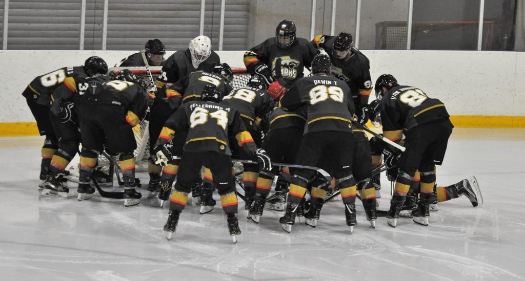 Golden Sharks Mechelen Face-Off IJshockey BeNe League