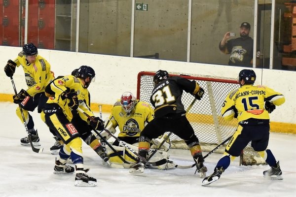 Antwerp Phantoms Mechelen Golden Sharks