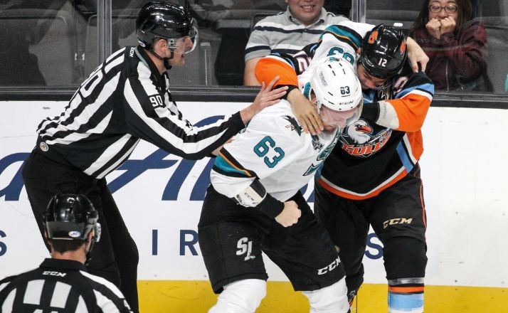 San Diego Gulls Barracadu