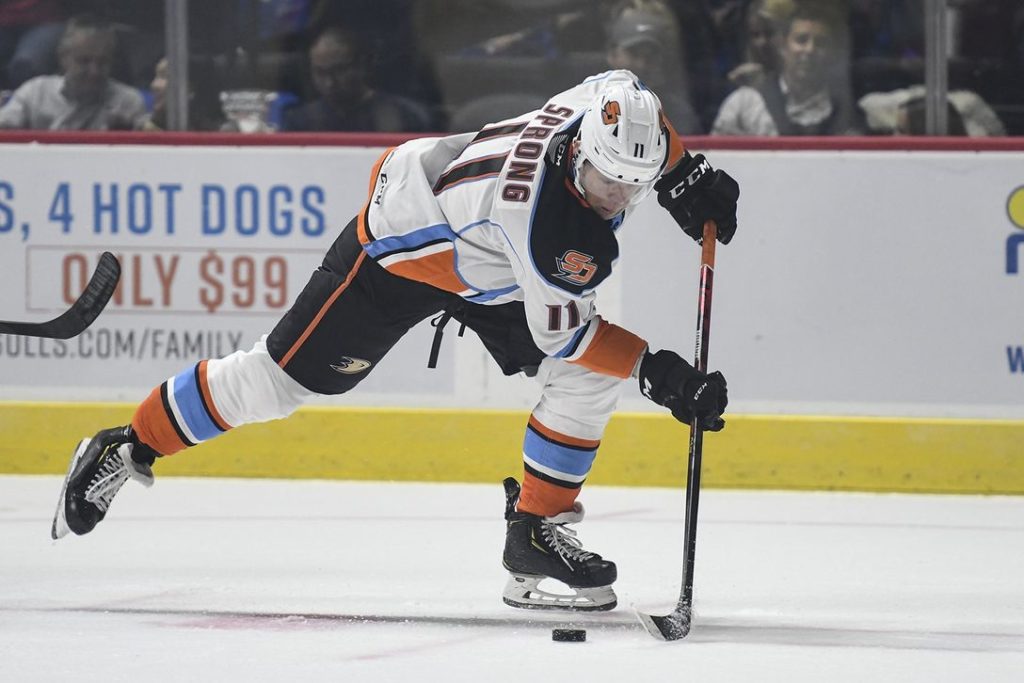 Sprong San Diego Gulls