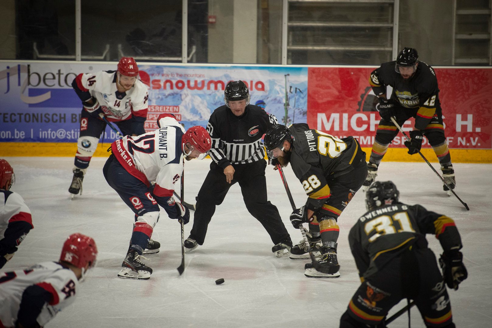 Mechelen Golden Sharks Bulldogs Luik