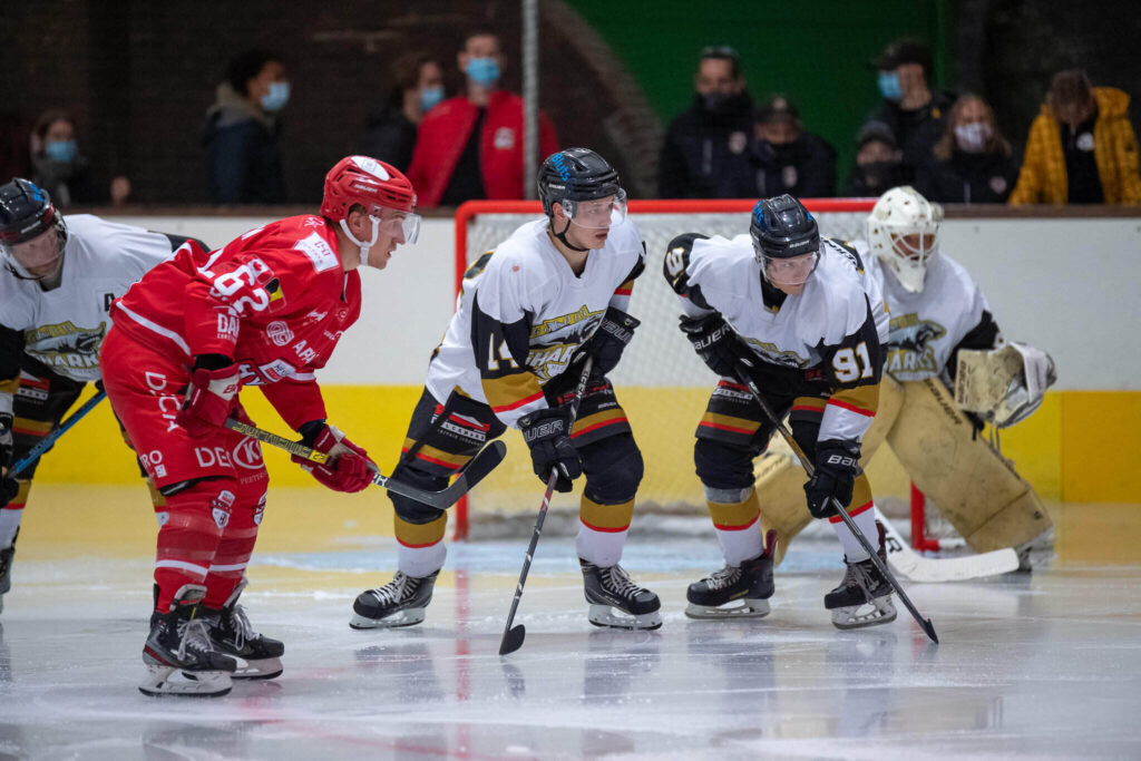 Vastgoed Heylen HYC vs Mechelen Golden Sharks