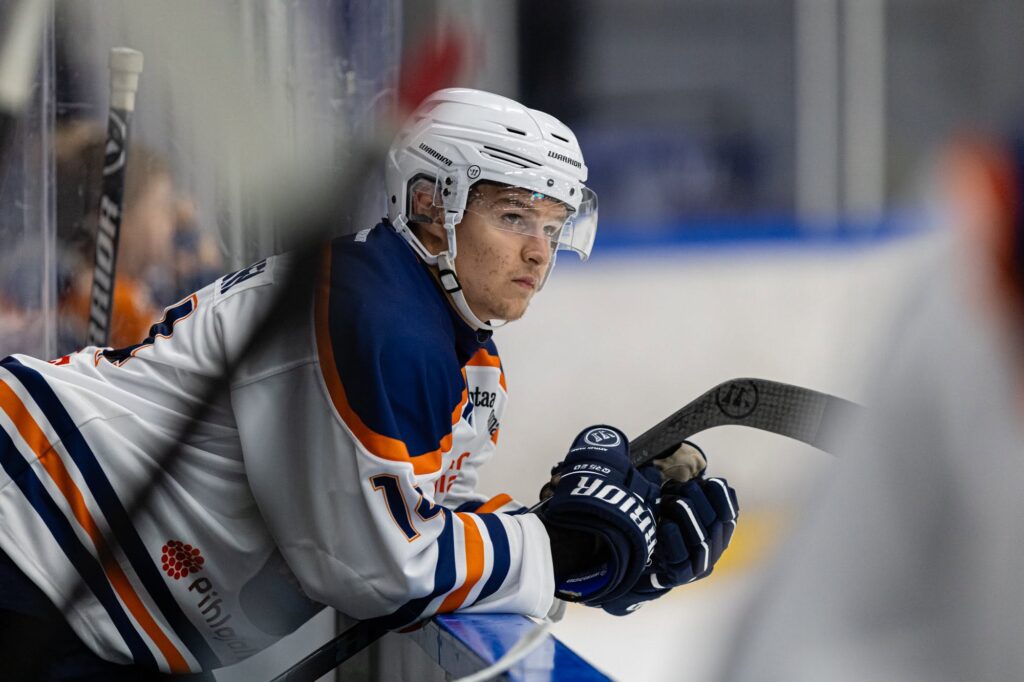 Holttinen