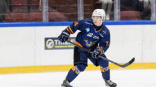 Holttinen
