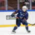 Holttinen